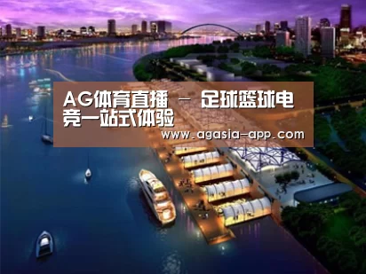案例展示八