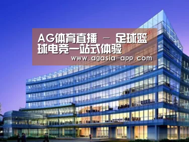 案例展示五